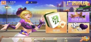 广西玩法视频搭建教程-犀牛源码网